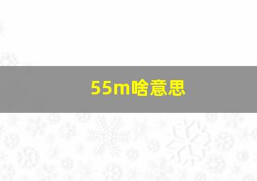 55m啥意思