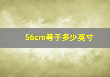 56cm等于多少英寸