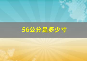 56公分是多少寸