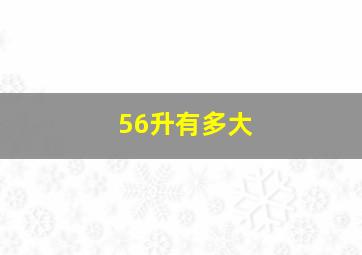 56升有多大