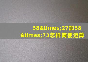 58×27加58×73怎样简便运算