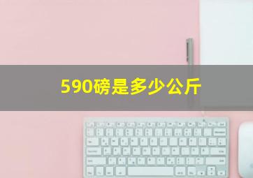 590磅是多少公斤