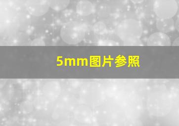 5mm图片参照