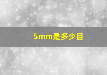 5mm是多少目