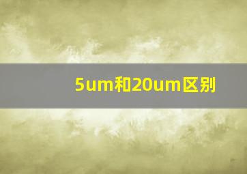 5um和20um区别