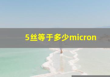 5丝等于多少micron