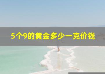 5个9的黄金多少一克价钱