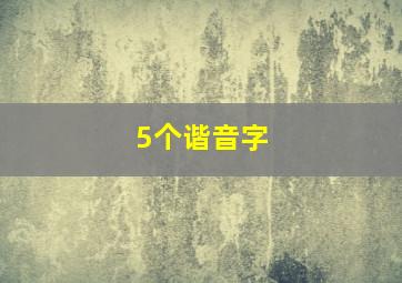 5个谐音字