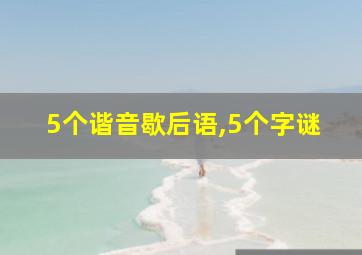 5个谐音歇后语,5个字谜