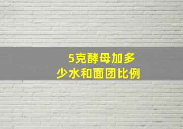 5克酵母加多少水和面团比例