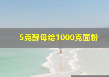 5克酵母给1000克面粉