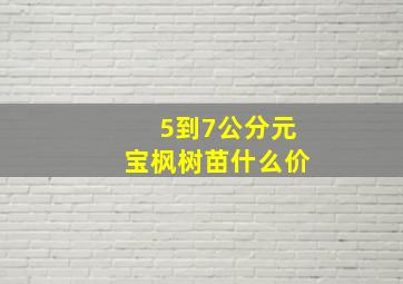 5到7公分元宝枫树苗什么价