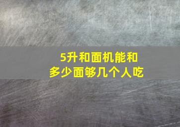 5升和面机能和多少面够几个人吃