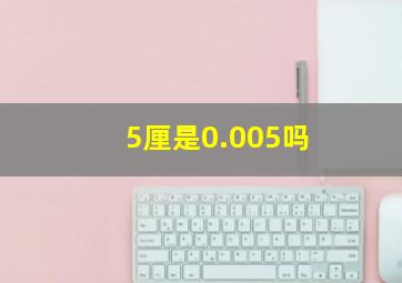 5厘是0.005吗