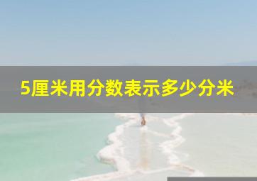 5厘米用分数表示多少分米