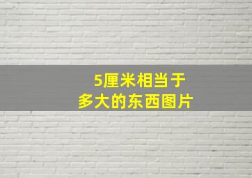 5厘米相当于多大的东西图片