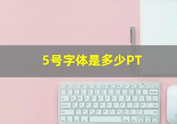 5号字体是多少PT