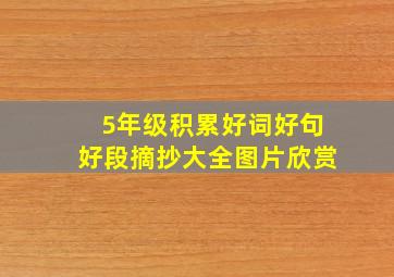 5年级积累好词好句好段摘抄大全图片欣赏