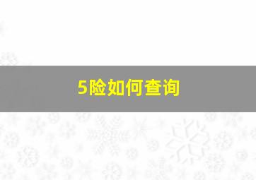 5险如何查询