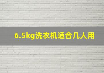 6.5kg洗衣机适合几人用