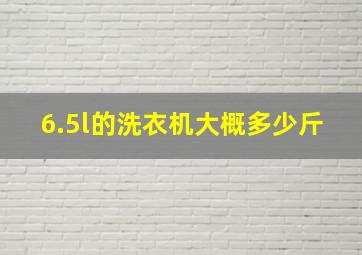 6.5l的洗衣机大概多少斤