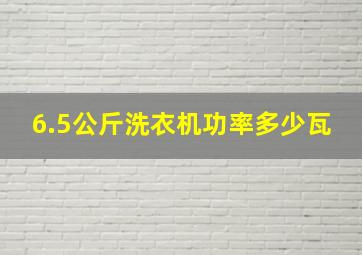 6.5公斤洗衣机功率多少瓦