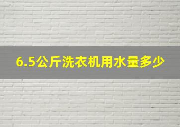 6.5公斤洗衣机用水量多少