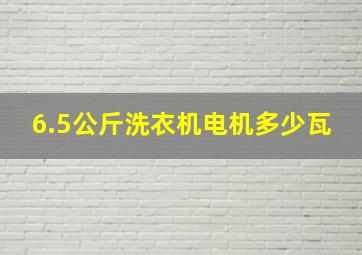 6.5公斤洗衣机电机多少瓦