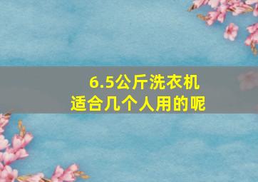 6.5公斤洗衣机适合几个人用的呢