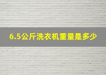 6.5公斤洗衣机重量是多少