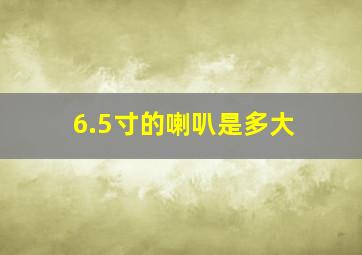 6.5寸的喇叭是多大