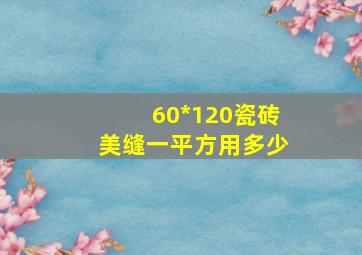 60*120瓷砖美缝一平方用多少