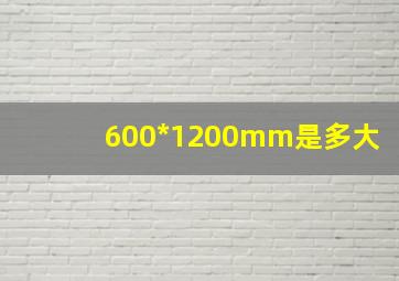 600*1200mm是多大