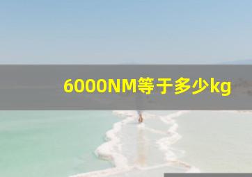 6000NM等于多少kg