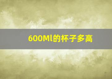 600Ml的杯子多高