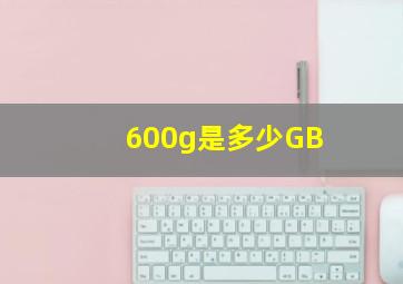 600g是多少GB