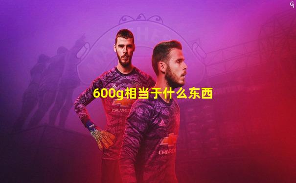 600g相当于什么东西