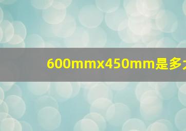 600mmx450mm是多大