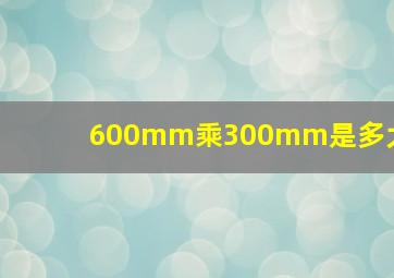 600mm乘300mm是多大