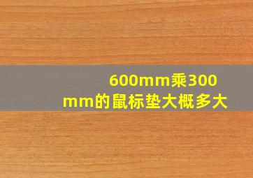 600mm乘300mm的鼠标垫大概多大