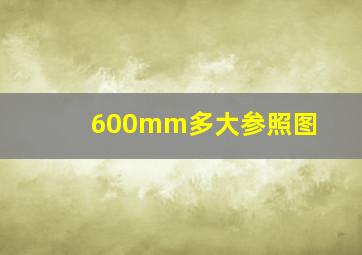 600mm多大参照图