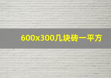 600x300几块砖一平方