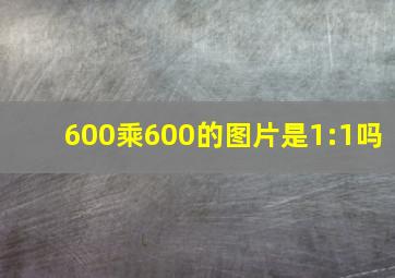 600乘600的图片是1:1吗