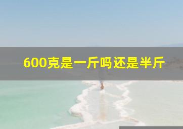 600克是一斤吗还是半斤