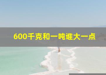 600千克和一吨谁大一点