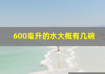 600毫升的水大概有几碗