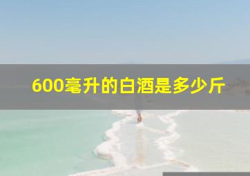 600毫升的白酒是多少斤