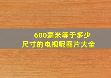 600毫米等于多少尺寸的电视呢图片大全