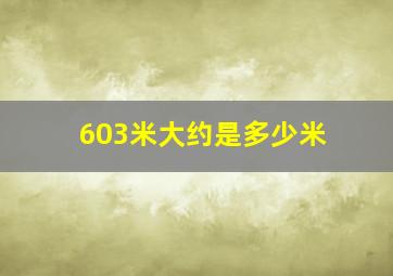 603米大约是多少米