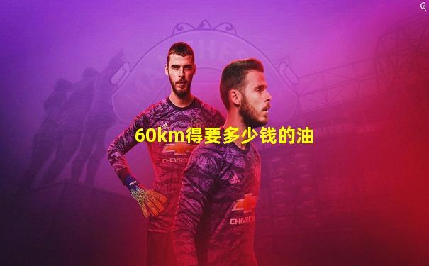 60km得要多少钱的油